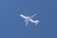 G-TUMP